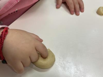 Img 1579